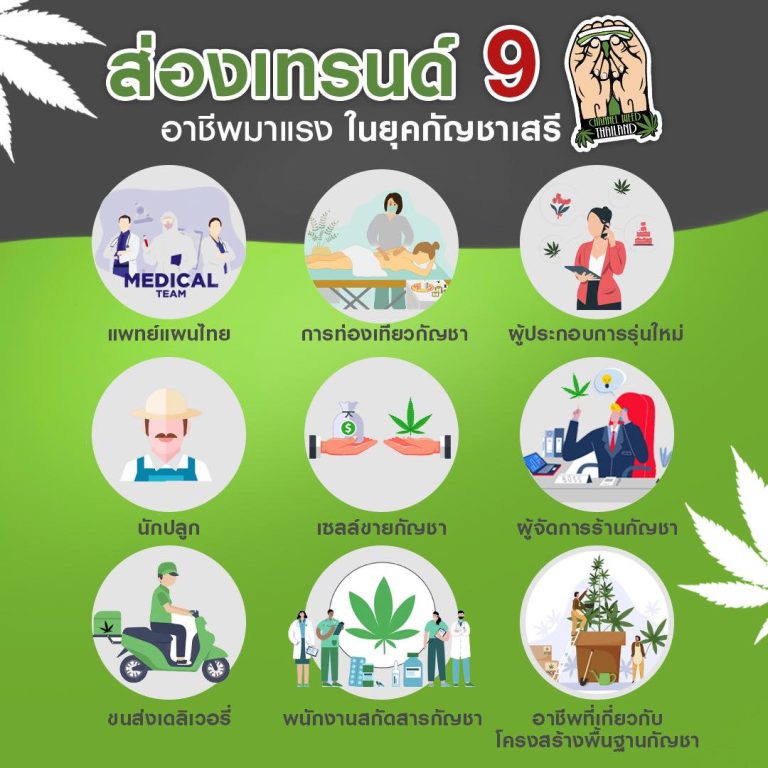 ส่องเทรนด์ 9 อาชีพมาแรง ในยุคกัญชาเสรี